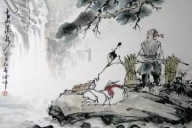 春雨直播app